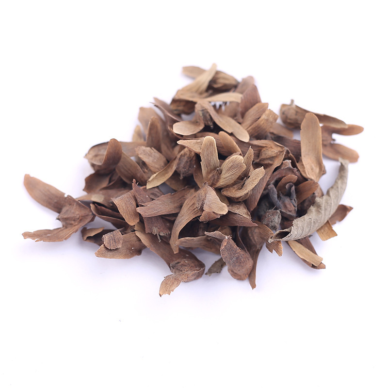 枫杨种子白杨大叶柳大叶头杨树水麻柳枫杨树种子枰柳树种子