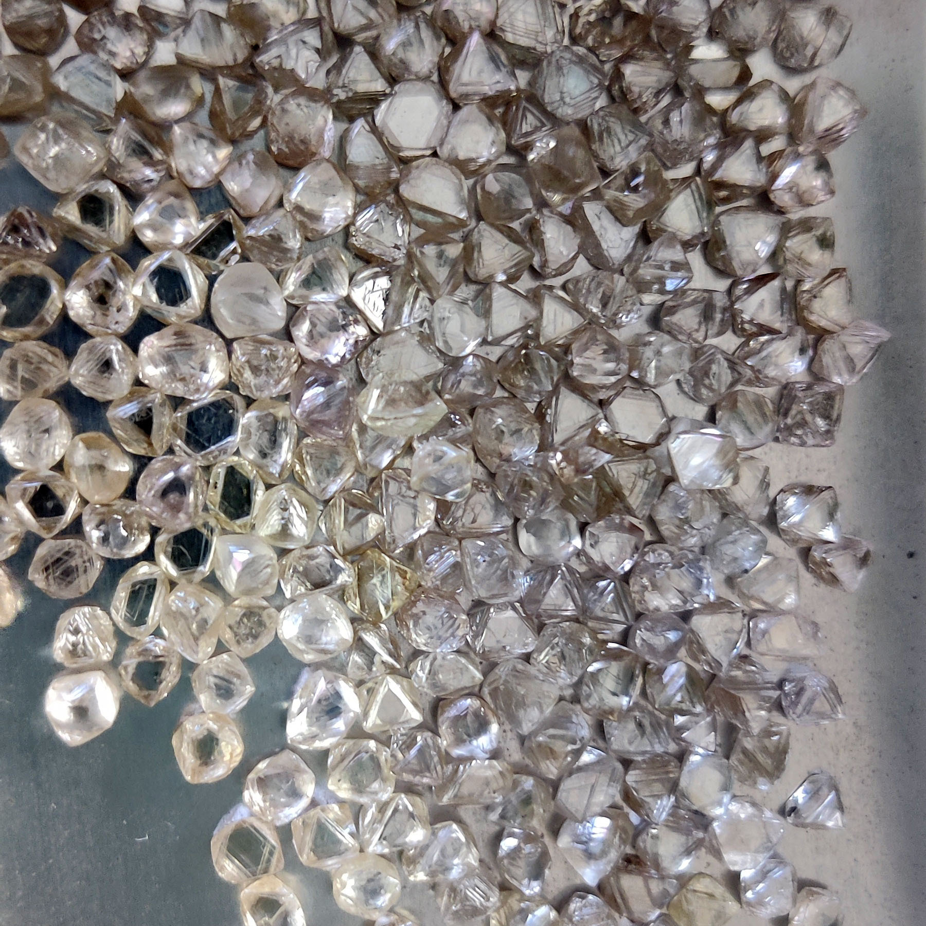 20-50分天然八面体钻石工业金刚石毛坯钻一克拉2到5粒