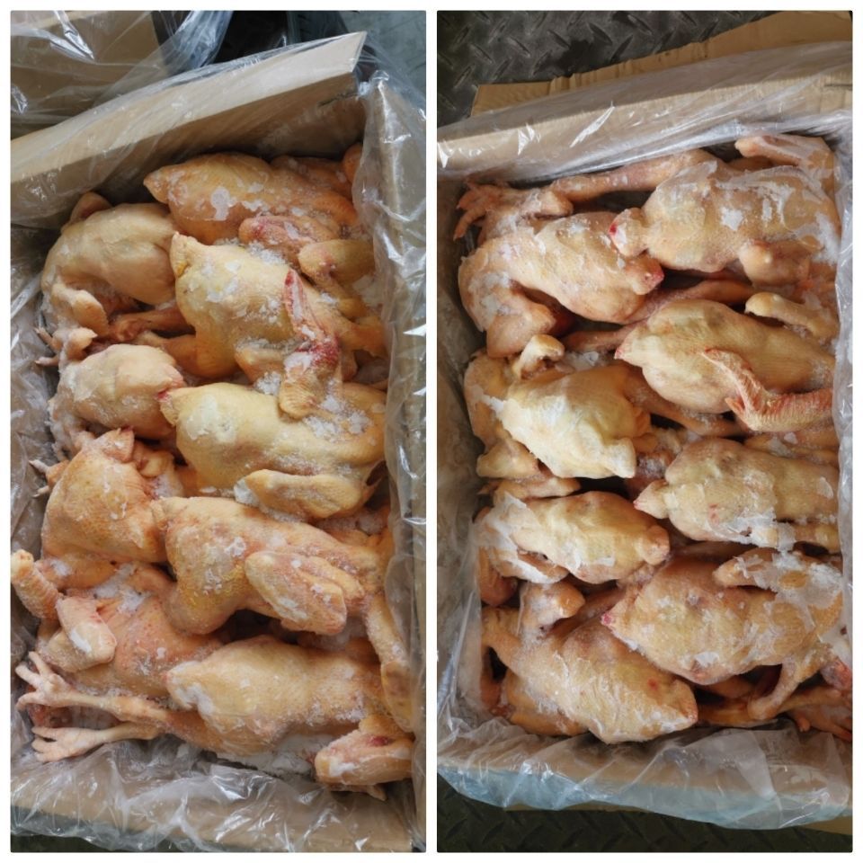 生鲜冷冻三黄鸡散养鸡土鸡二级残鸡整箱19斤厂家直销饭店食堂商用