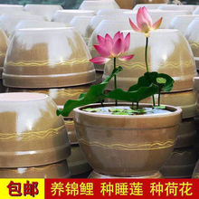 陶瓷鱼缸养荷花缸乌龟缸睡莲碗莲老式装水大号缸庭院阳台户外造景