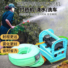 电动喷雾器农用手提充电式高压隔膜抽水双泵大功率洗车果树打药机