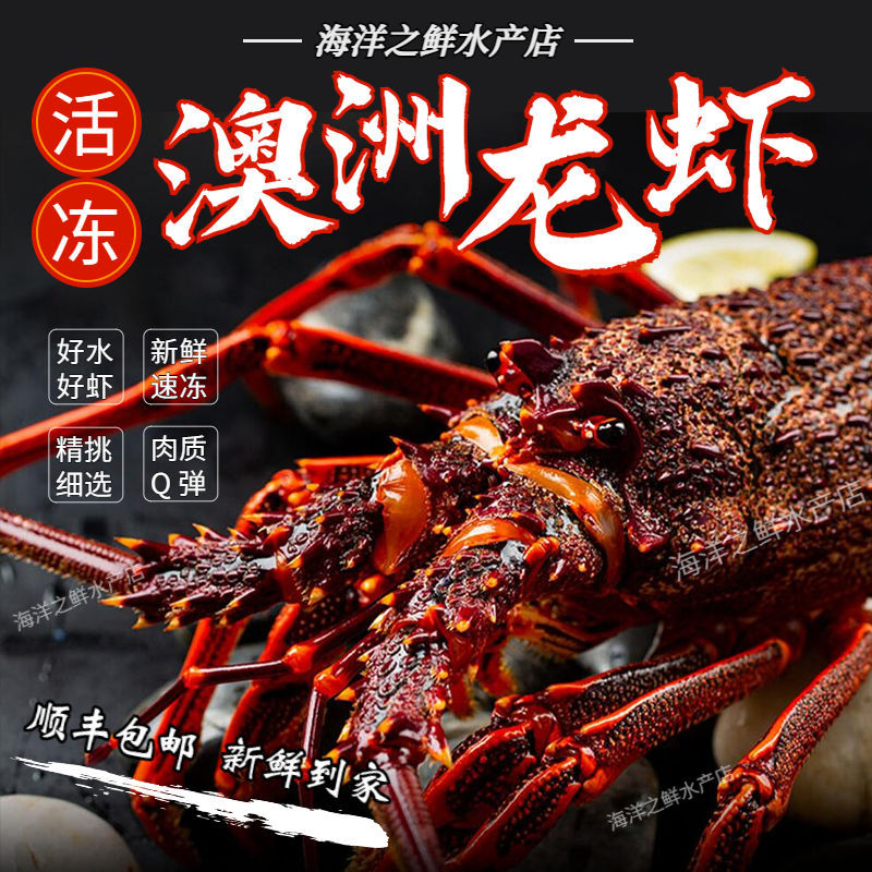 澳龙活冻龙虾鲜活冷冻大虾新鲜海鲜大号红龙速冻送礼顺丰包邮代发