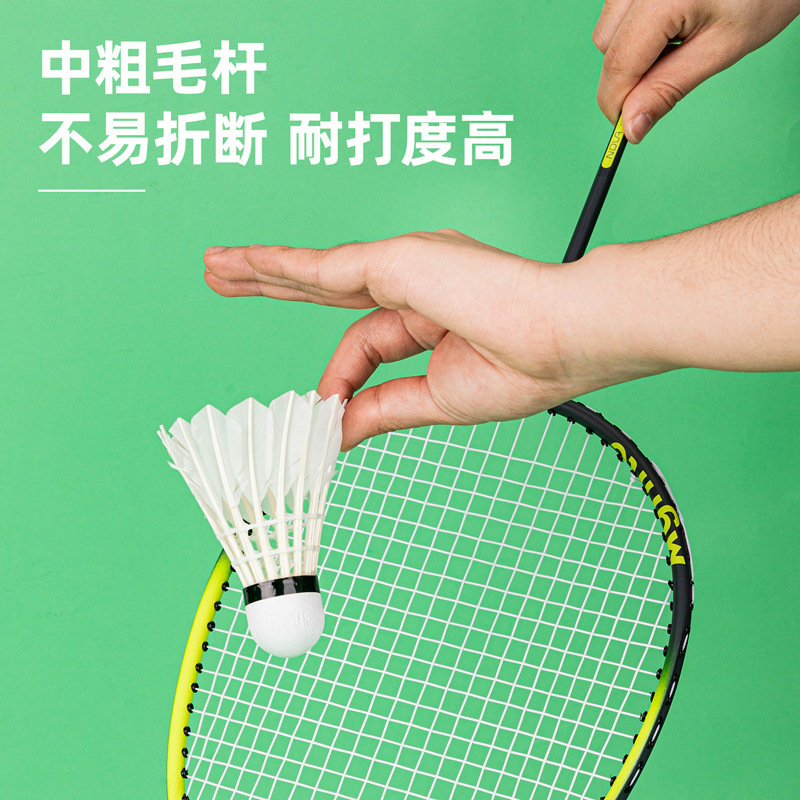 Deli F2200/F2201/F2202 Angenite Badminton Duck Goose Feather Indoor and Outdoor Training Official Ball