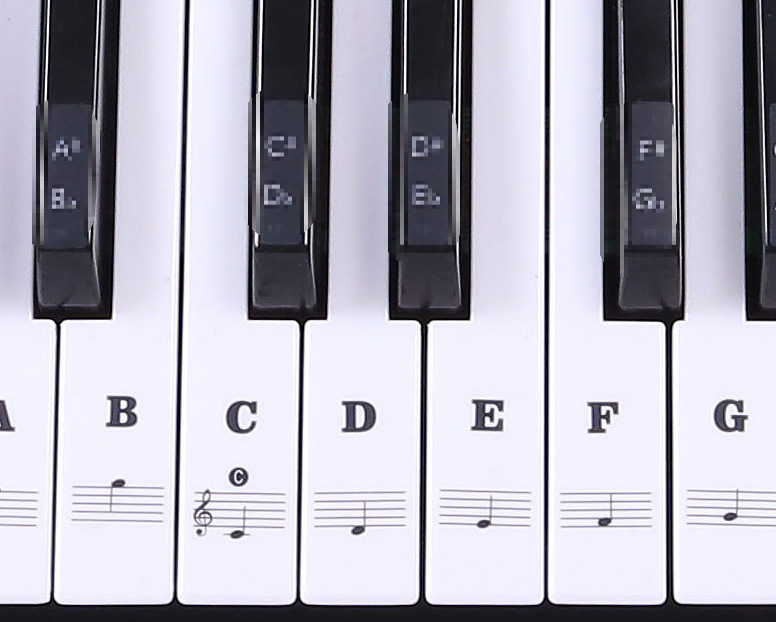 88键61键54键 透明钢琴键盘贴纸 电子琴琴贴五线谱简谱音符键位贴