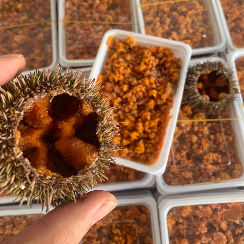 纯海胆肉海胆膏无添加鲜美漂烫海胆海胆冻块马粪熟海胆滋补送批发
