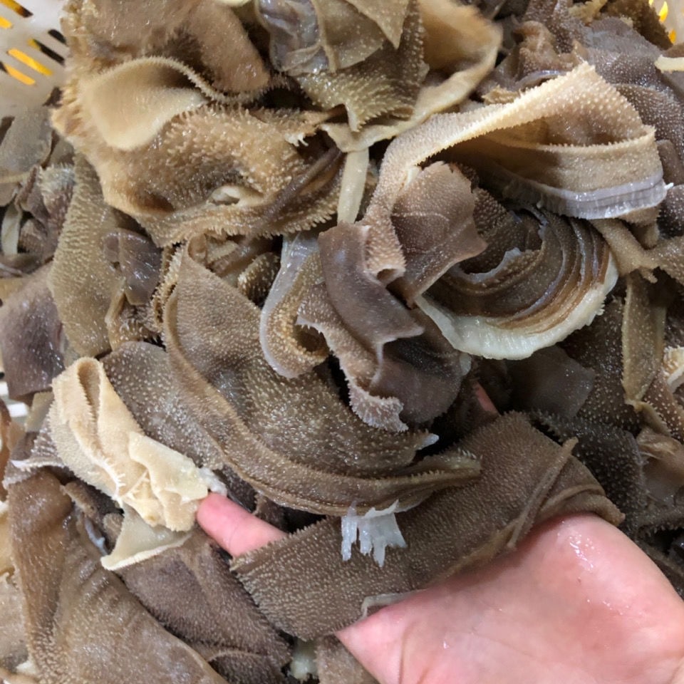 毛肚边角料5斤毛肚碎叶片牛杂千层肚牛百叶火锅食材串串冒菜批发