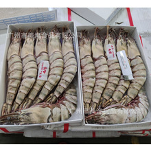 冷冻大老虎虾大鬼虾大九节虾黑虎虾斑节虾有多种规格900g*10盒/件