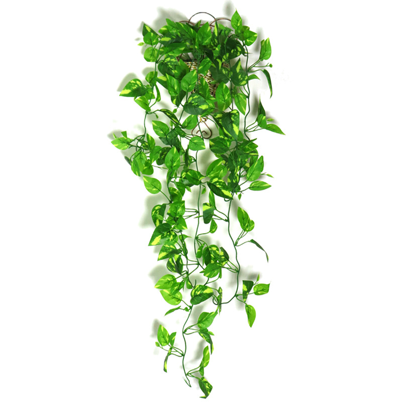 5 Fork Simulation Film Green Radish Wall Hanging Home Decorative Rattan Soft Decoration Landscape Ivy Vine Factory Wholesale