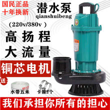 潜水泵家用1寸2寸2.5寸3寸4寸高扬程大抽水220v380农用亚马逊跨境