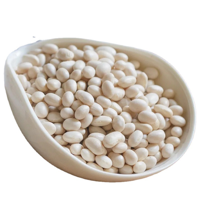 新货云南珍珠豆小白豆5斤农家自种小白芸豆炖肉煲汤豆类杂粮250g