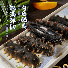 深海大乌参冻品速发海参野生海鲜参水产400克装江浙沪皖3包起包邮