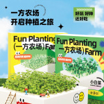 双层绿植水培绿植物种植玩具办公室室内花卉无土栽培小盆栽花苗