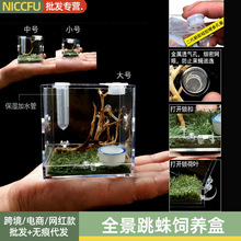 NC跳蛛饲养盒小型非捕造景箱蜘蛛甲虫昆虫带加湿器小型造景饲养盒