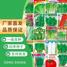 一件代发蔬菜种子四季播盆栽阳台庭院香菜辣椒番茄黄瓜豆简单易种