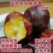 【超低价】东北特产龙丰果秋果酸甜脆新鲜孕妇水果非海棠果小苹果