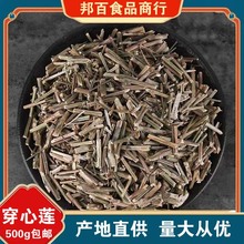 穿心莲罐装精选野生 中药材 一见喜榄核莲苦胆草金香草正品无硫