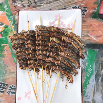 速冻大蚂蚱串蝗虫串蚱蜢串烧烤油炸街边半成品小吃商食材100串/件