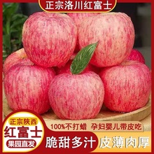 陕西洛川苹果脆甜新果新鲜大果整箱红富士糖心10斤包邮