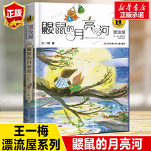 鼹鼠的月亮河正版/王一梅儿童文学精品漂流屋系列/江苏凤凰少年儿