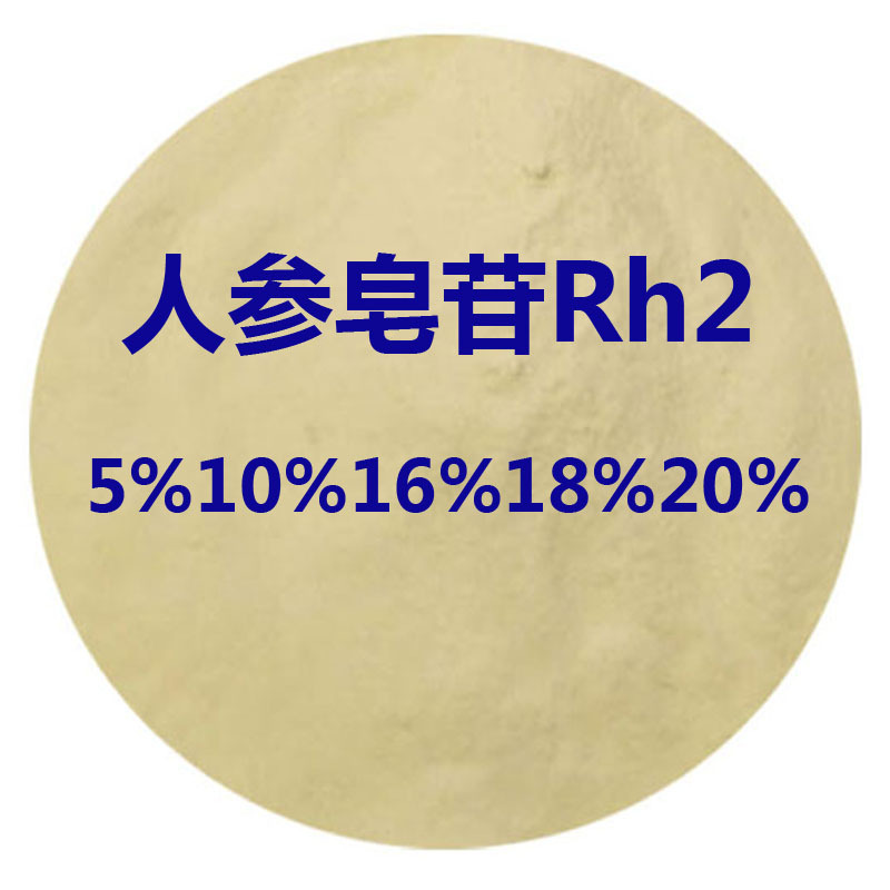 水溶性人参皂苷Rh2 10% 16% 22% Ginsenoside Rh2人参皂甙Rh2工厂