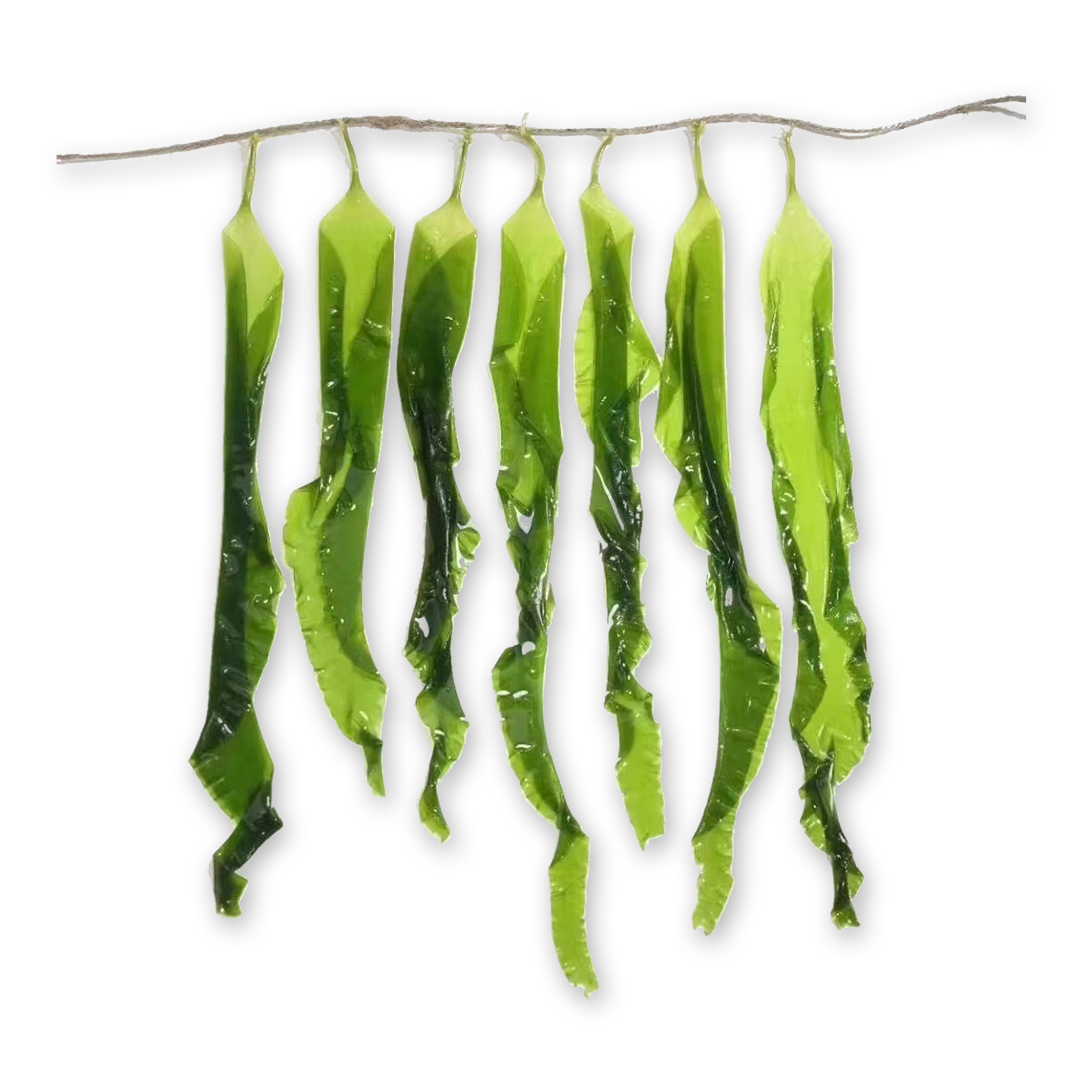 冰冻 冰鲜 即食海带苗 q弹爽滑 鲜嫩脆 日料餐饮食材批发 400g/包