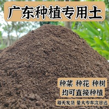 土壤种植土广东营养种菜种树养花通用型100斤专用种花腐植土厂家