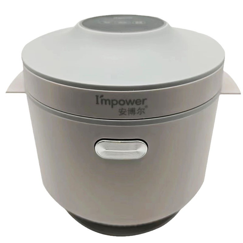 Anboer Microcomputer Mini Cooker DFB-W20B1(D) Household Rice Cooker Cooking Multi-Functional Non-Stick Rice Cookers Batch