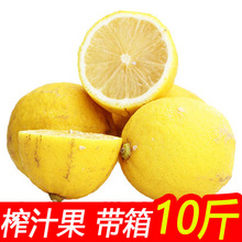 安岳黄柠檬新鲜水果丑果净重9斤瑕疵果次果批发一件代发