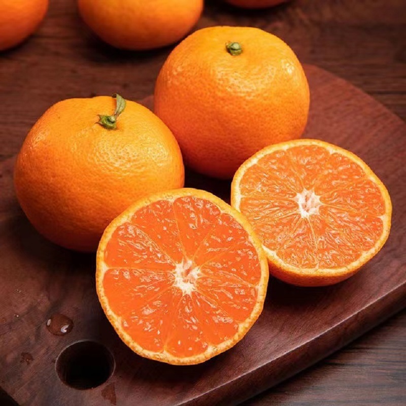 临海涌泉蜜桔水果时令新鲜柑橘五斤整件包邮台州蜜橘