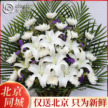 黄白鲜菊花花束葬礼清明扫墓菊花花篮祭奠祭祀白事鲜花圈北京同