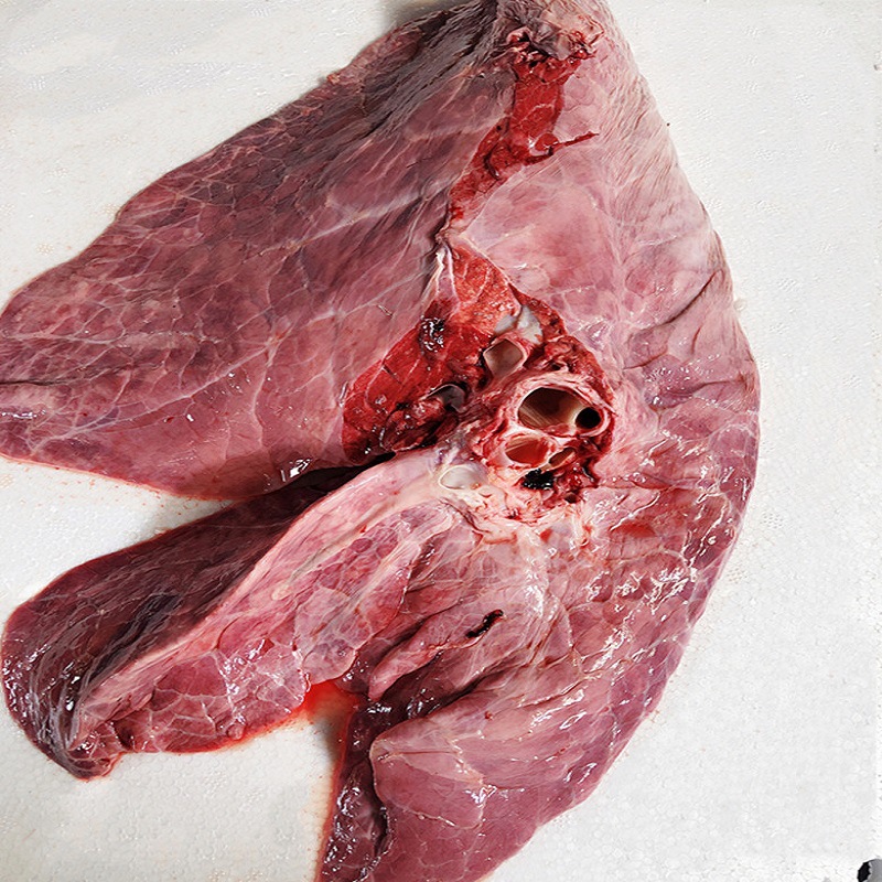 10斤新鲜牛肺冷冻牛肺火锅食材广东萝卜牛杂另有牛肠牛肝牛肚牛筋