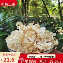 白竹耳木耳干货玉耳兔耳菌500g包邮野生白木耳银耳特色食材