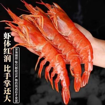 特大l级别刺身阿根廷红虾海捕大虾生呛虾冷冻海鲜水产斤斤厂批发