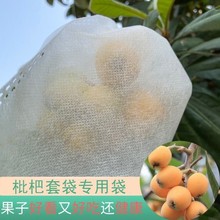 草莓套袋茄子袋子石榴三月李草莓水果保护袋枇杷套袋袋桃子