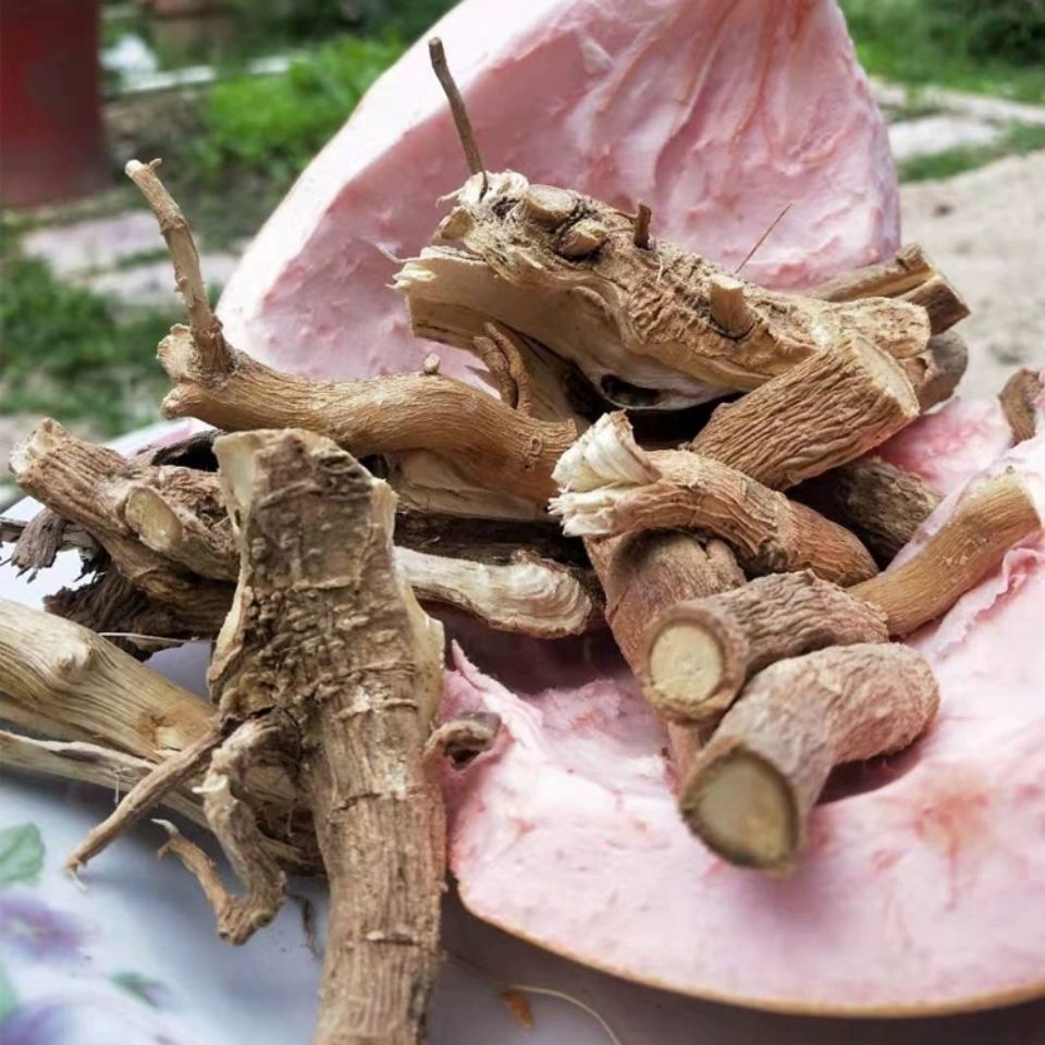 黄花倒水莲 倒水连 纯新货 中药材 倒吊黄根黄花大远志观音串