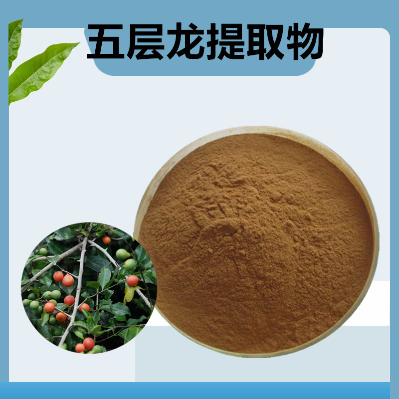 五层龙提取物501五层龙粉斯里兰卡五层龙提取物500克