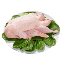 北京烤鸭专用鸭白条鸭厂家直销生鲜鸭冷冻鸭肉现杀现卖鸭肉