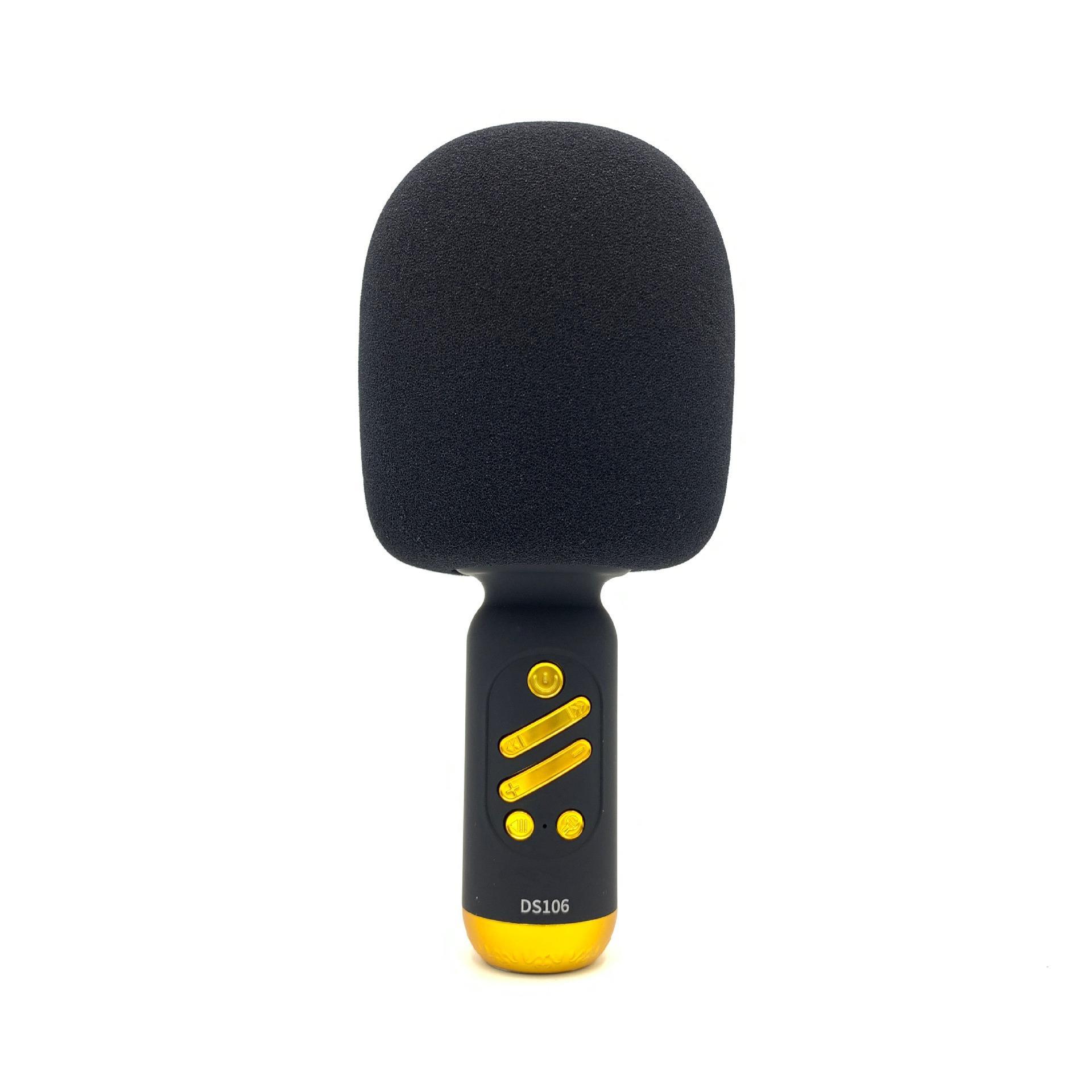 New Wireless Microphone Ds106 Family Outdoor Microphone Factory in Stock Bluetooth Microphone Audio Integrated