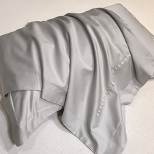 JB16枕套100一对装轻奢纯色枕头套单个男枕芯内胆套48cmX
