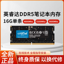 适用英睿达DDR5 4800/5600 16G 32G 笔记本内存条 兼容 三星 海力