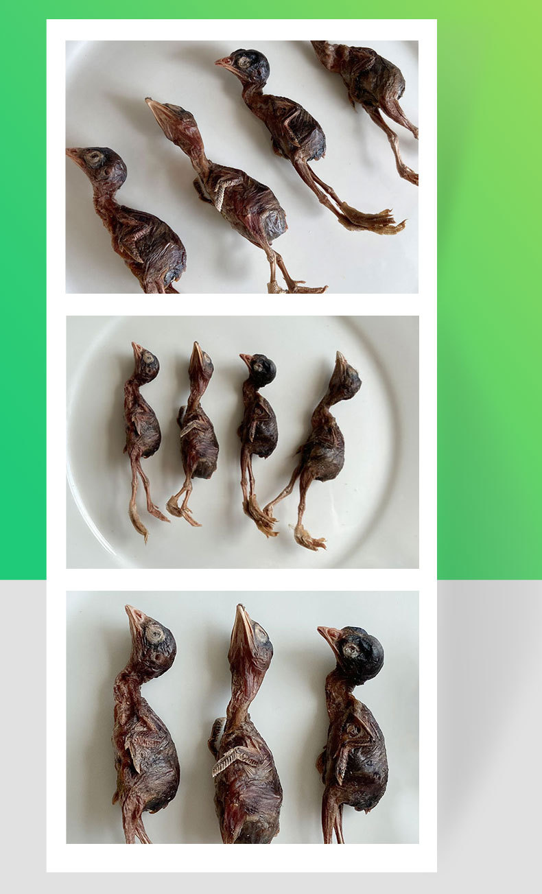 宠物冻干小鹌鹑500g冻干猫零食狗零食猫粮狗粮生骨肉oem贴牌代工