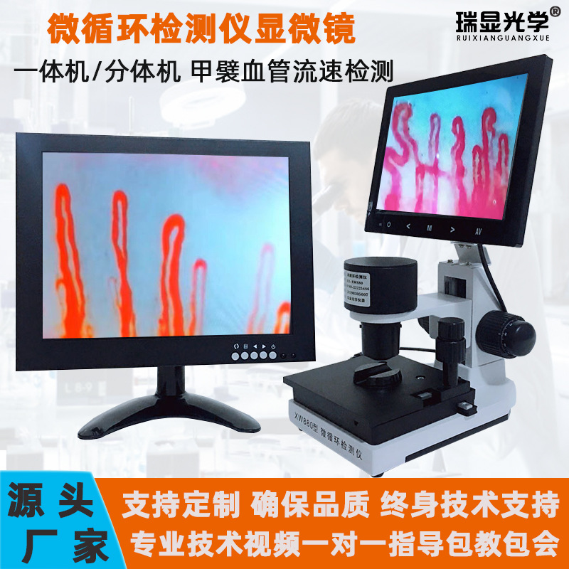 微循环检测仪 XW880型甲襞血管血液流速观察仪高清微循环显微镜