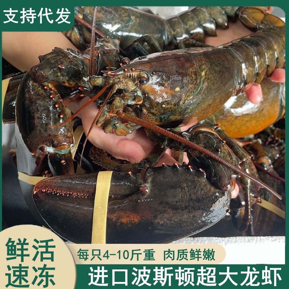 波士顿龙虾冷冻大龙虾海鲜水产超大活冻大波龙鲜活速冻餐饮食材-阿里
