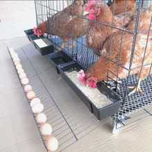 鸡笼子家用养殖特大号室内外鸡舍加粗加密折叠鸽子笼自动清粪鸭笼