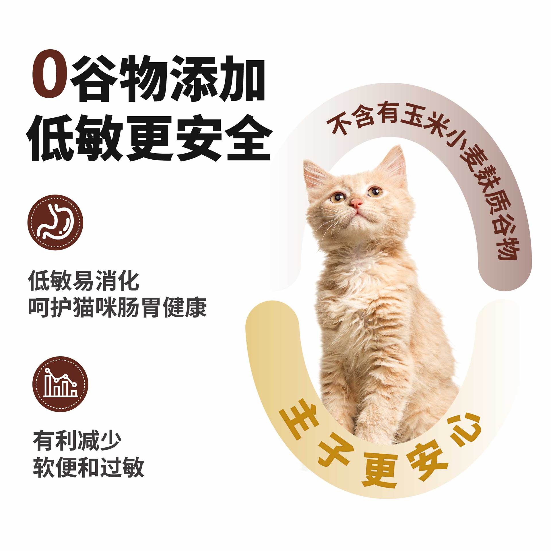 Its Nuclear Full Price No Grain Cat Food Factory Wholesale Pet Cat Food Freeze-Dried Kittens into Cat Beauty Hair Cattery Workers