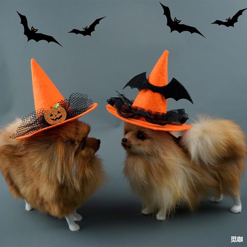 宠物万圣节帽子创意南瓜恶魔蜘蛛2022年新款现货库存跨境-阿里巴巴