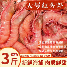 gc阿根廷红虾l1鲜活超大海虾特大红虾冷冻大虾速冻海鲜水产船冻