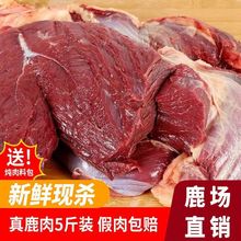 新鲜梅花鹿肉生鲜原切梅花鹿腿肉不注水鹿肉原切无骨大块新鲜鹿肉