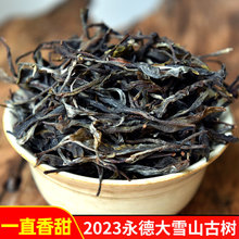 云南普洱生茶头春散茶散料500g普洱茶生茶乔木古树茶叶批发生普