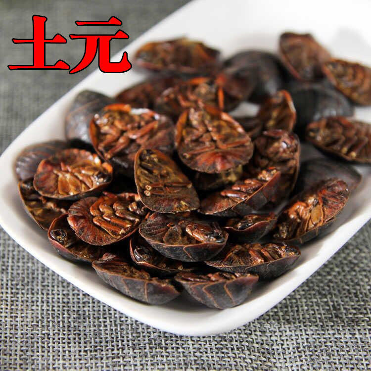 土元干土元 土元50克500克土鳖虫土鳖子可打土元粉规格可选真货好